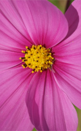 P9237059